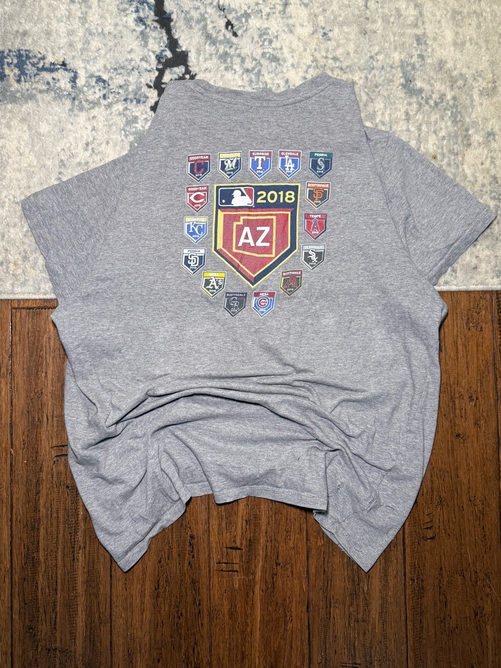 ‘47 Brand 2018 MLB Arizona Spring Training Graphic T-Shirt Gray – Men’s Large